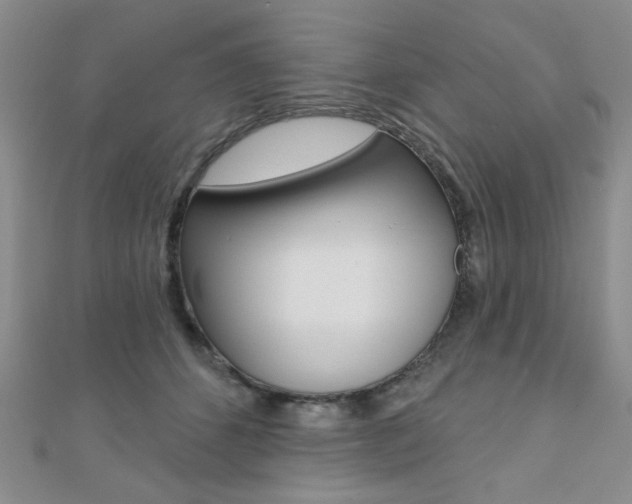 X0000110680512200906121038