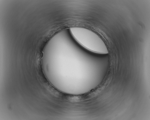 X0000110680513200906121038