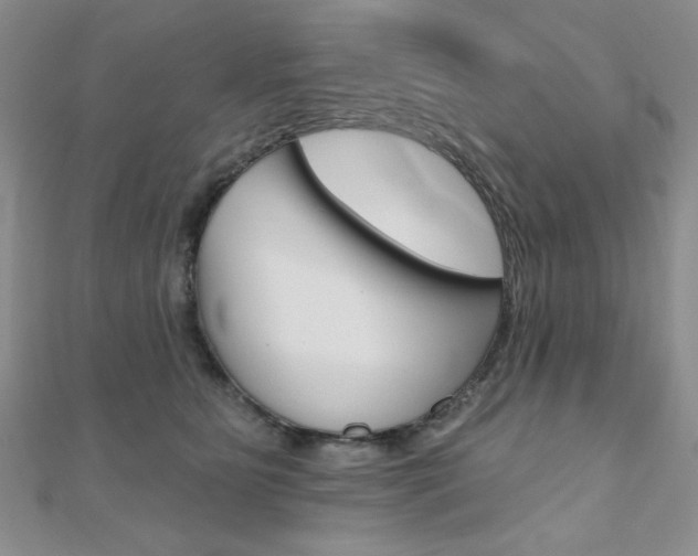 X0000110680515200906121038