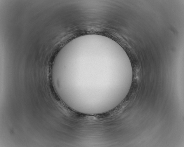 X0000110680519200906121038