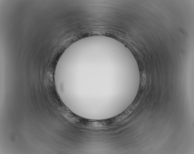 X0000110680522200906121037