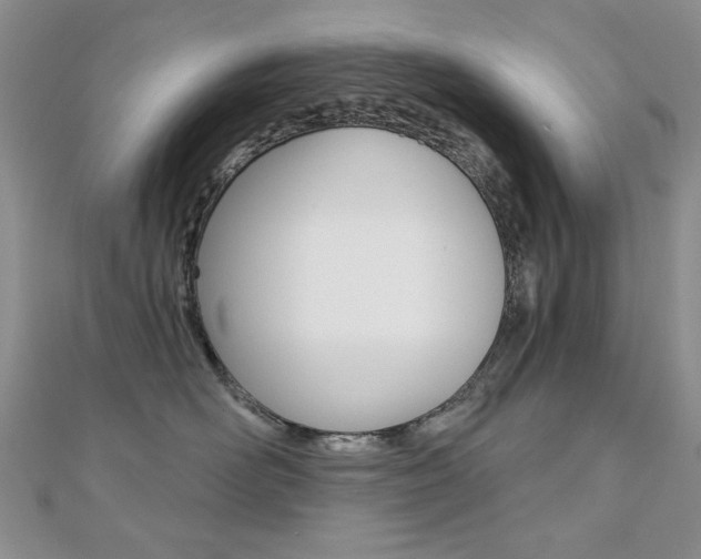 X0000110680526200906121037
