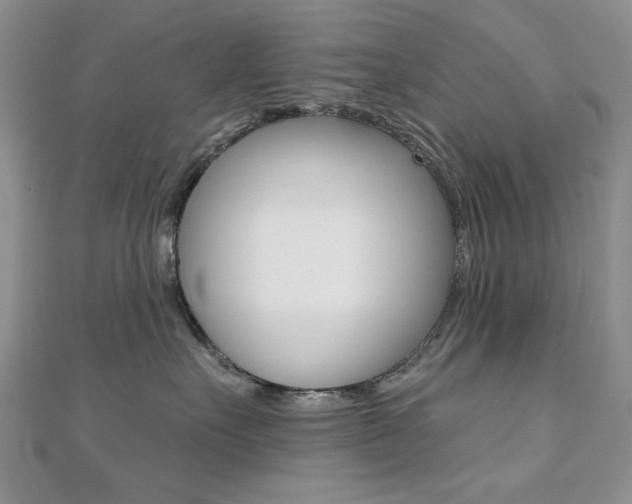 X0000110680527200906121037