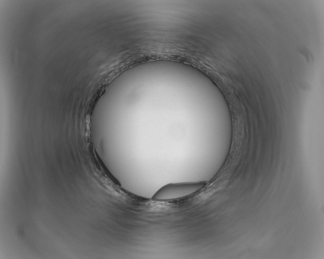 X0000110680528200906121037
