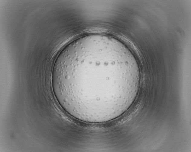 X0000110680529200906121037