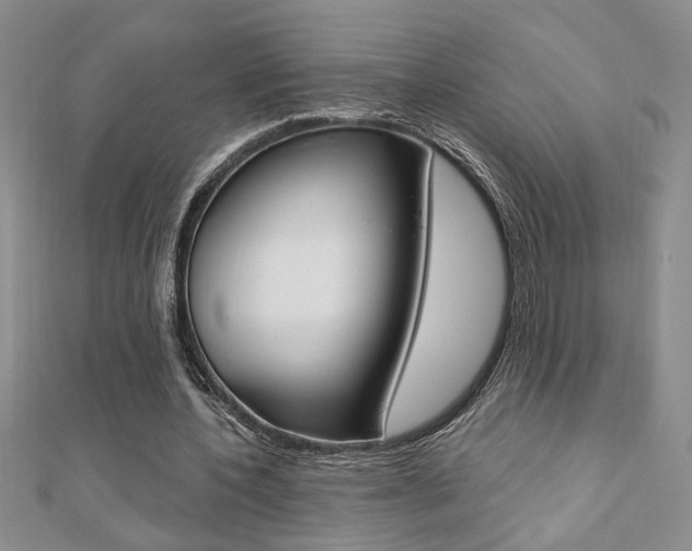 X0000110680532200906121037