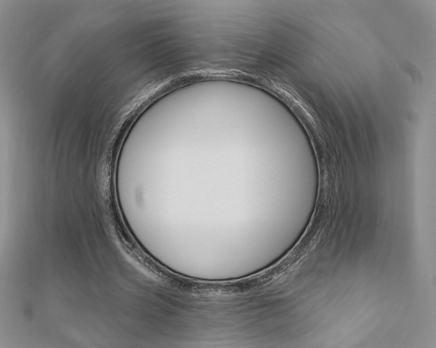 X0000110680533200906121037
