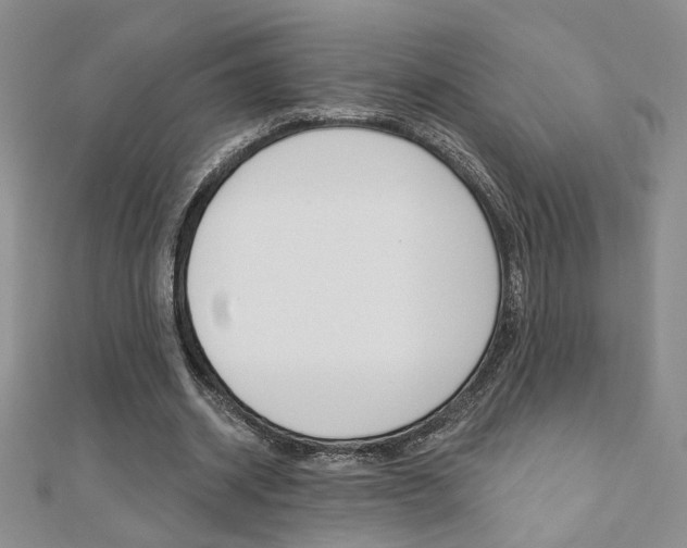 X0000110680534200906121037