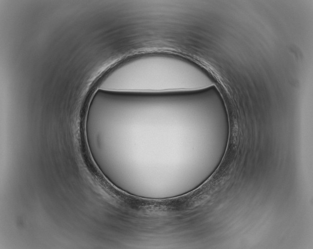 X0000110680535200906121037