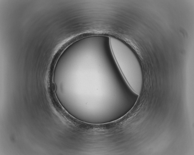 X0000110680536200906121037