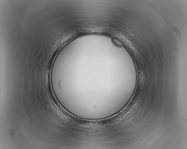 X0000110680537200906121037