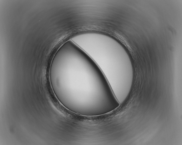 X0000110680538200906121037