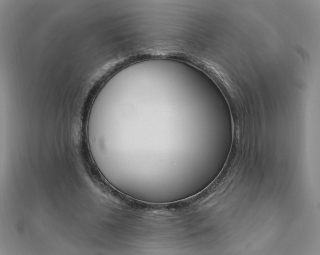 X0000110680540200906121037