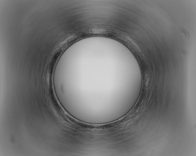 X0000110680542200906121037