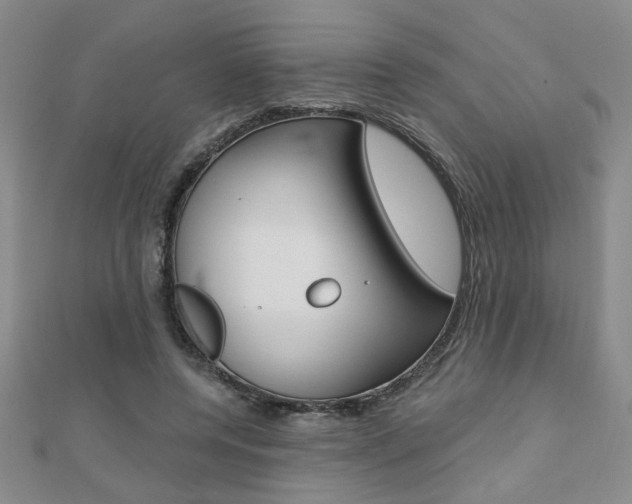 X0000110680544200906121037