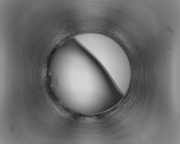 X0000110680548200906121037