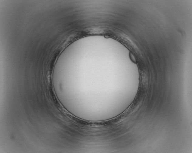 X0000110680549200906121037