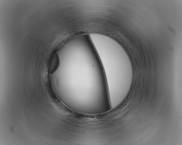 X0000110680552200906121037