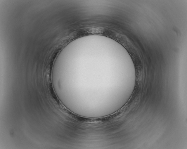 X0000110680553200906121037