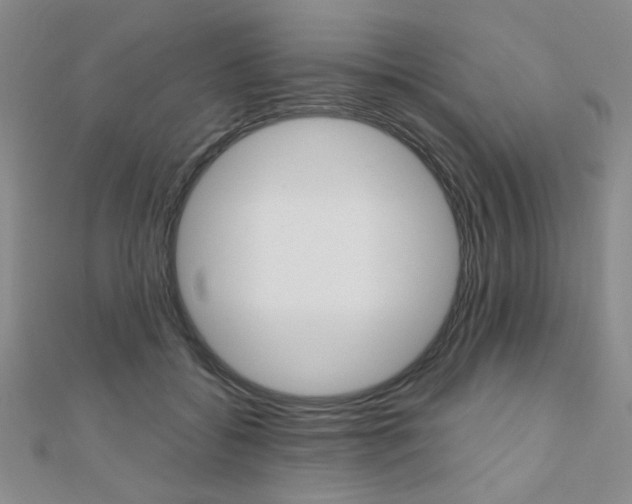 X0000110680556200906121037