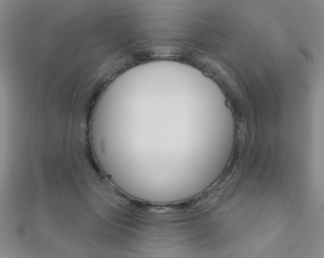 X0000110680557200906121037
