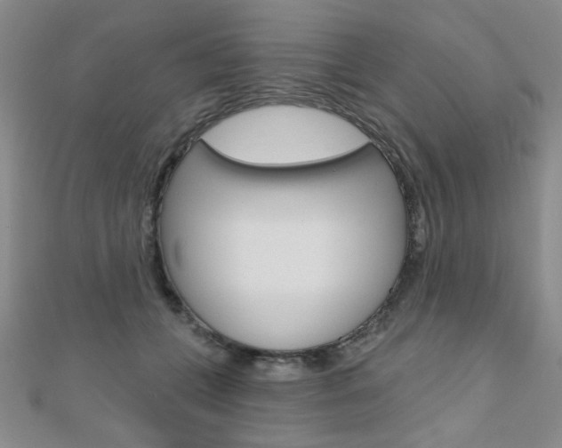 X0000110680559200906121037