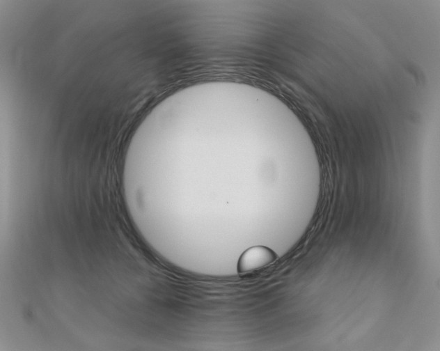 X0000110680560200906121037