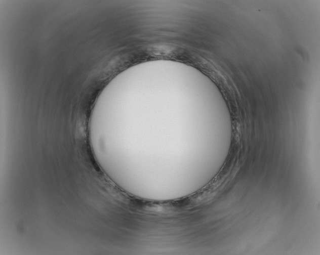 X0000110680561200906121037