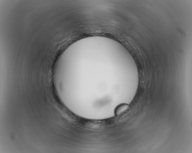 X0000110680563200906121037