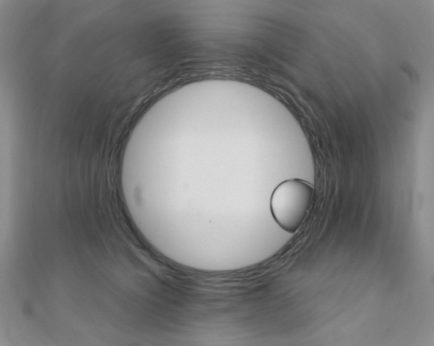 X0000110680564200906121037