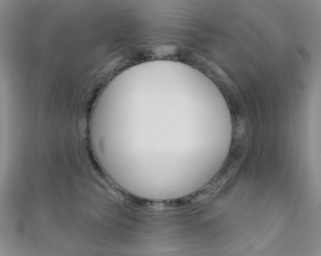 X0000110680565200906121037
