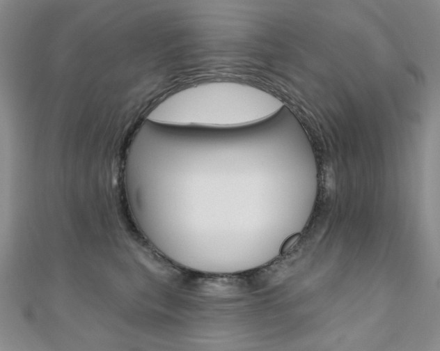 X0000110680567200906121037