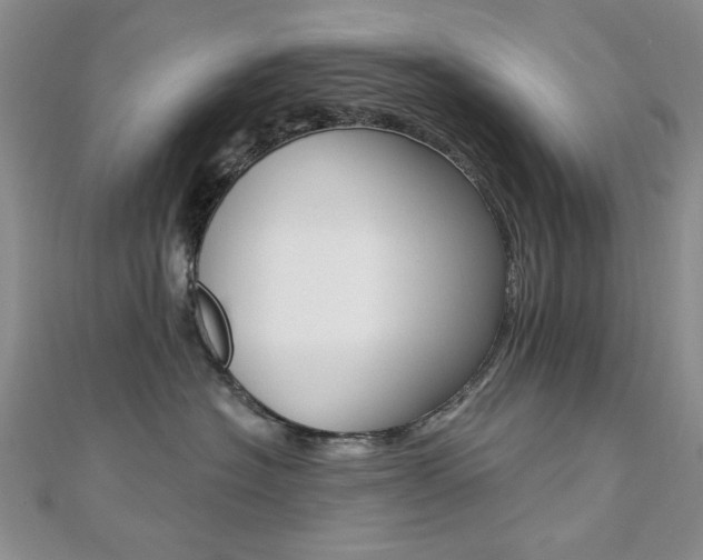 X0000110680574200906121037