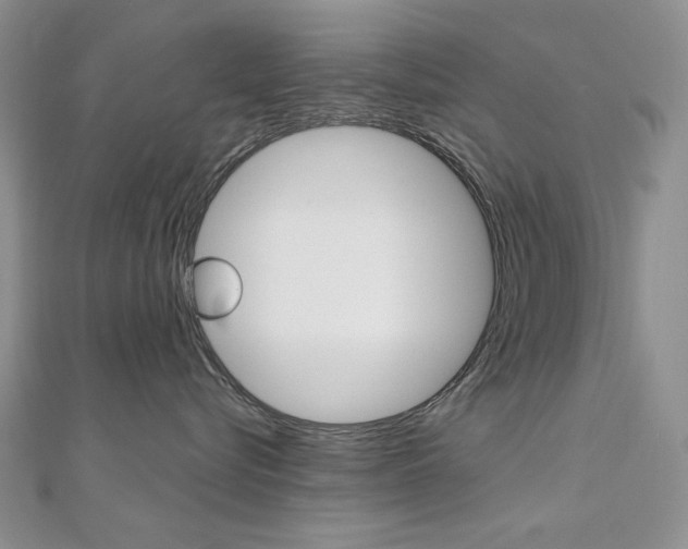 X0000110680576200906121037