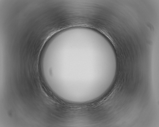 X0000110680579200906121037