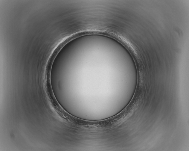X0000110680580200906121037