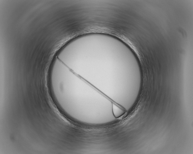 X0000110680581200906121037