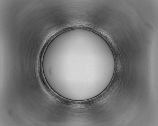 X0000110680582200906121037