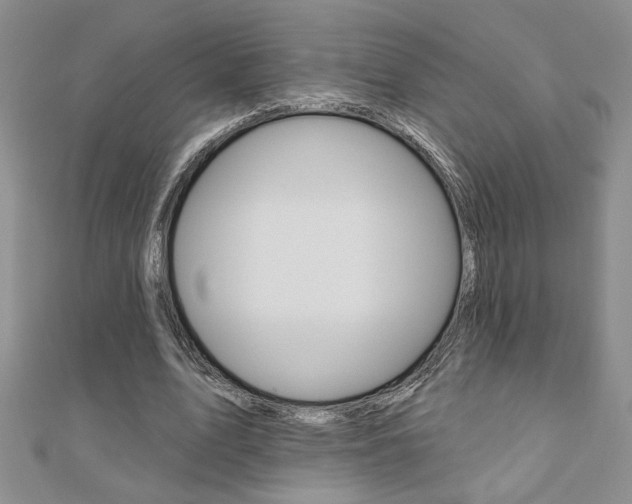 X0000110680583200906121037