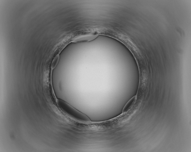 X0000110680585200906121037