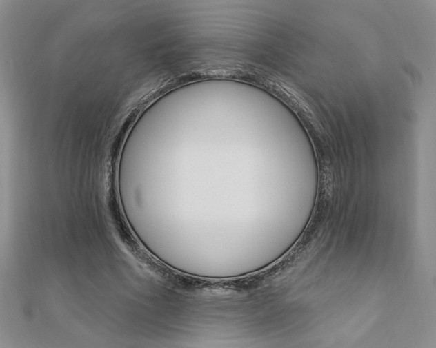 X0000110680586200906121037