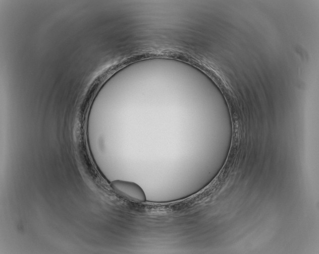 X0000110680587200906121037