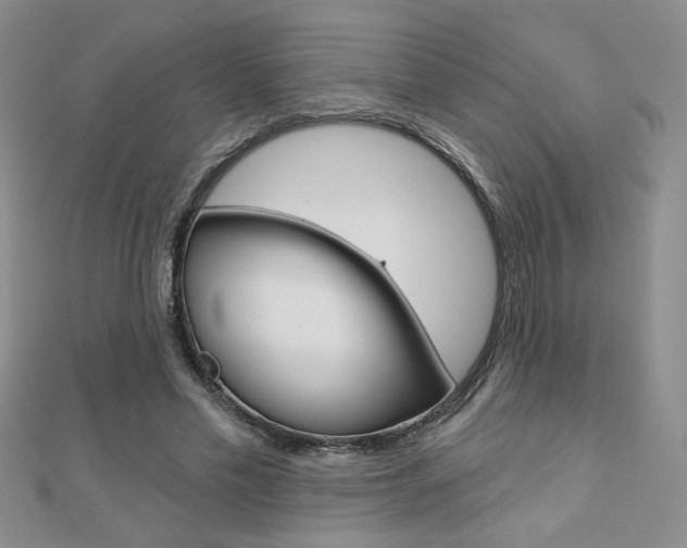 X0000110680589200906121037