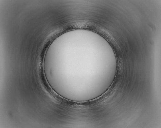 X0000110680590200906121037