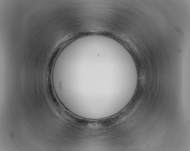X0000110680591200906121037
