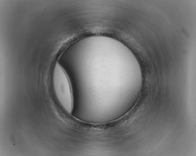 X0000110680592200906121037