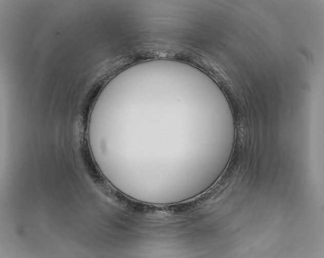 X0000110680594200906121037