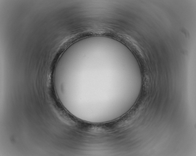 X0000110680596200906121037