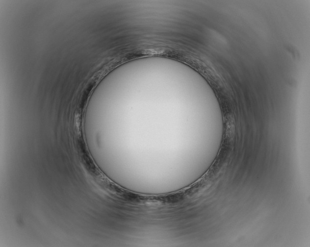 X0000110680598200906121037