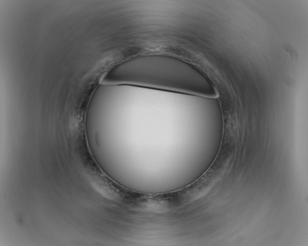 X0000110680601200906121036